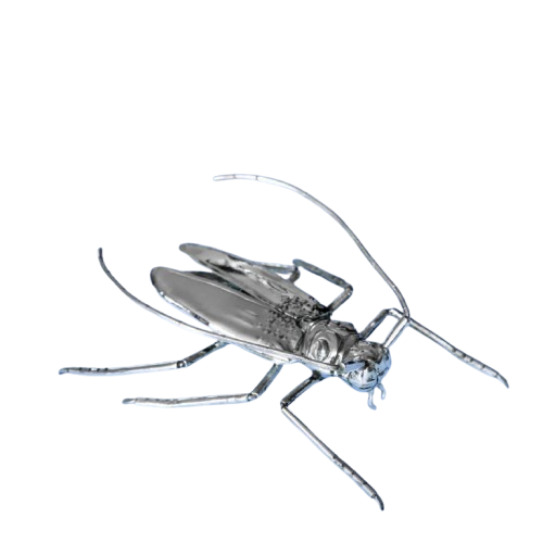 Cucaracha.